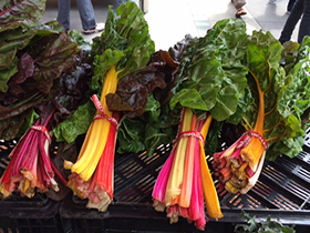 rainbow chard